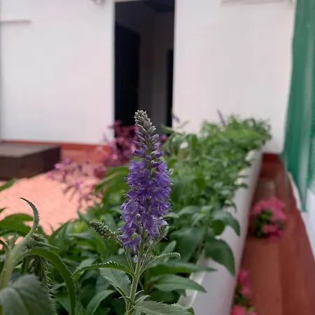 Placa De L'almudi, Where Else! Ferienhaus