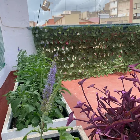 Placa De L'almudi, Where Else! Onda